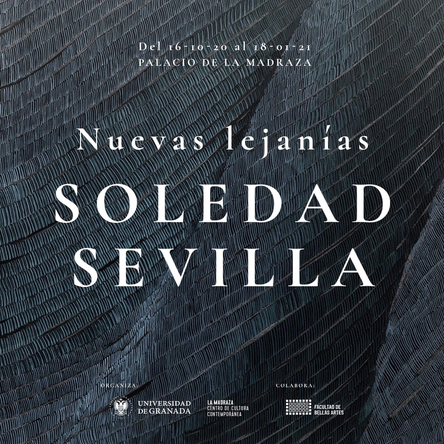 Soledad Sevilla inaugura exposición en el Palacio de la Madraza de Granada