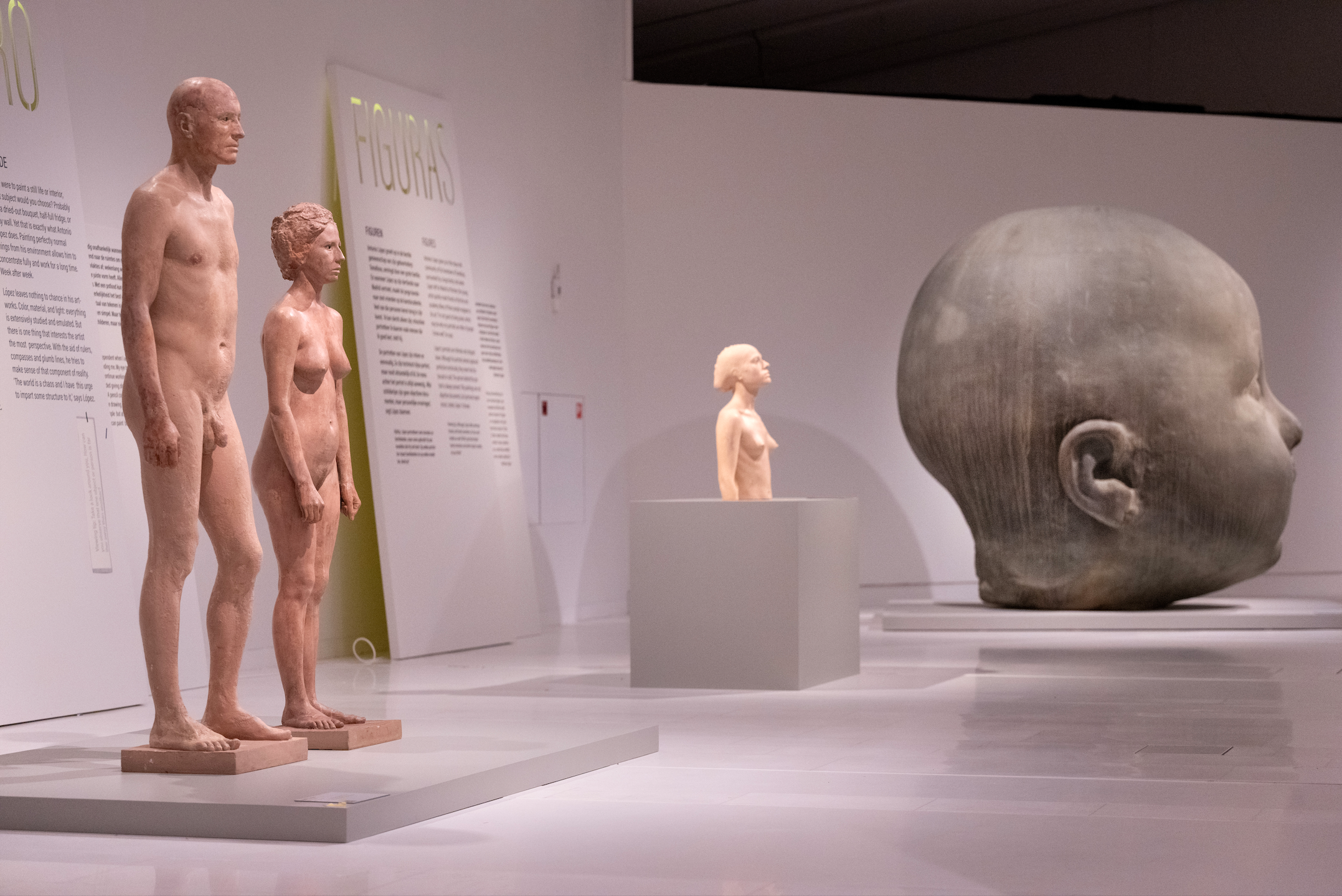 El Drents Museum celebra la primera muestra individual de Antonio López en los Países Bajos